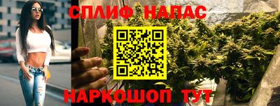 спайс Моздок