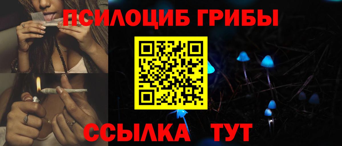 Псилоцибиновые грибы Psilocybine cubensis Чита